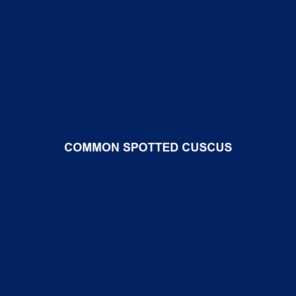 Australian Spotted Cuscus