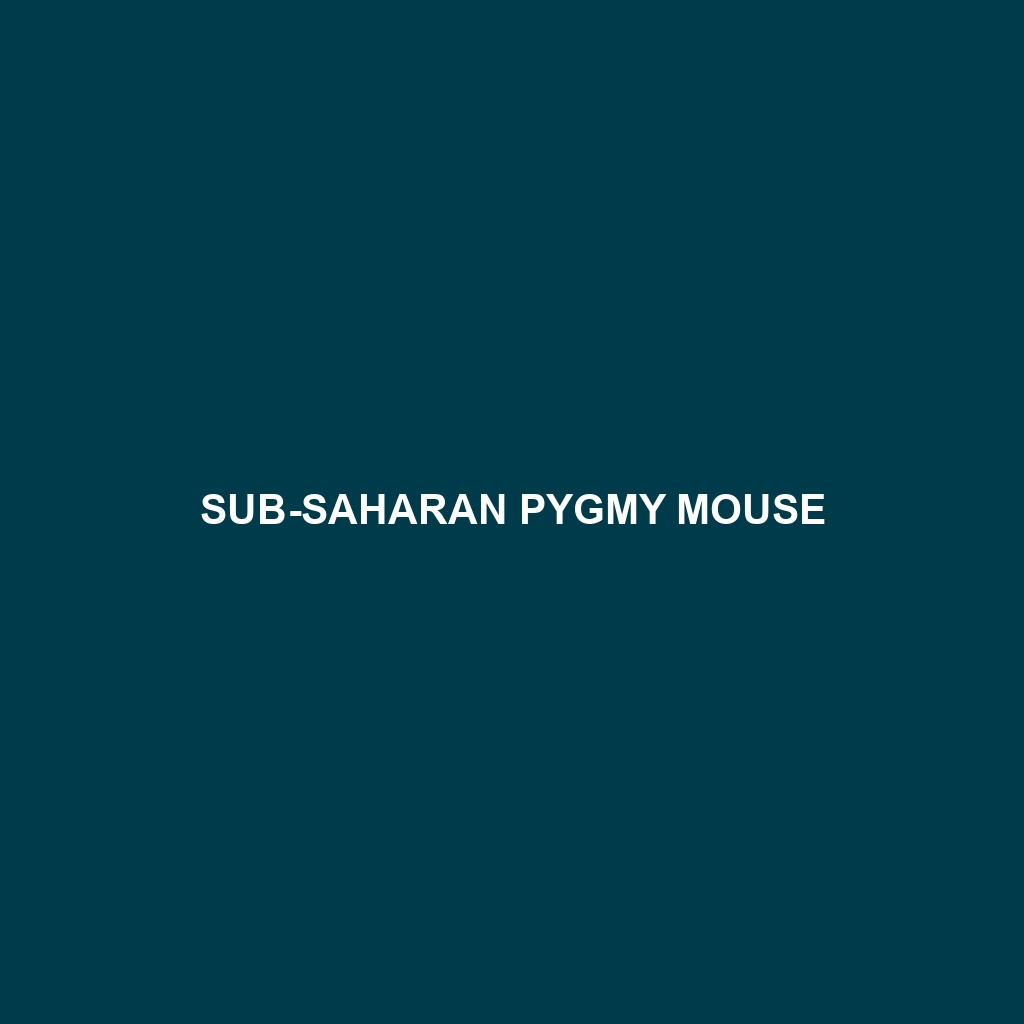 Sub-Saharan Pygmy Mouse