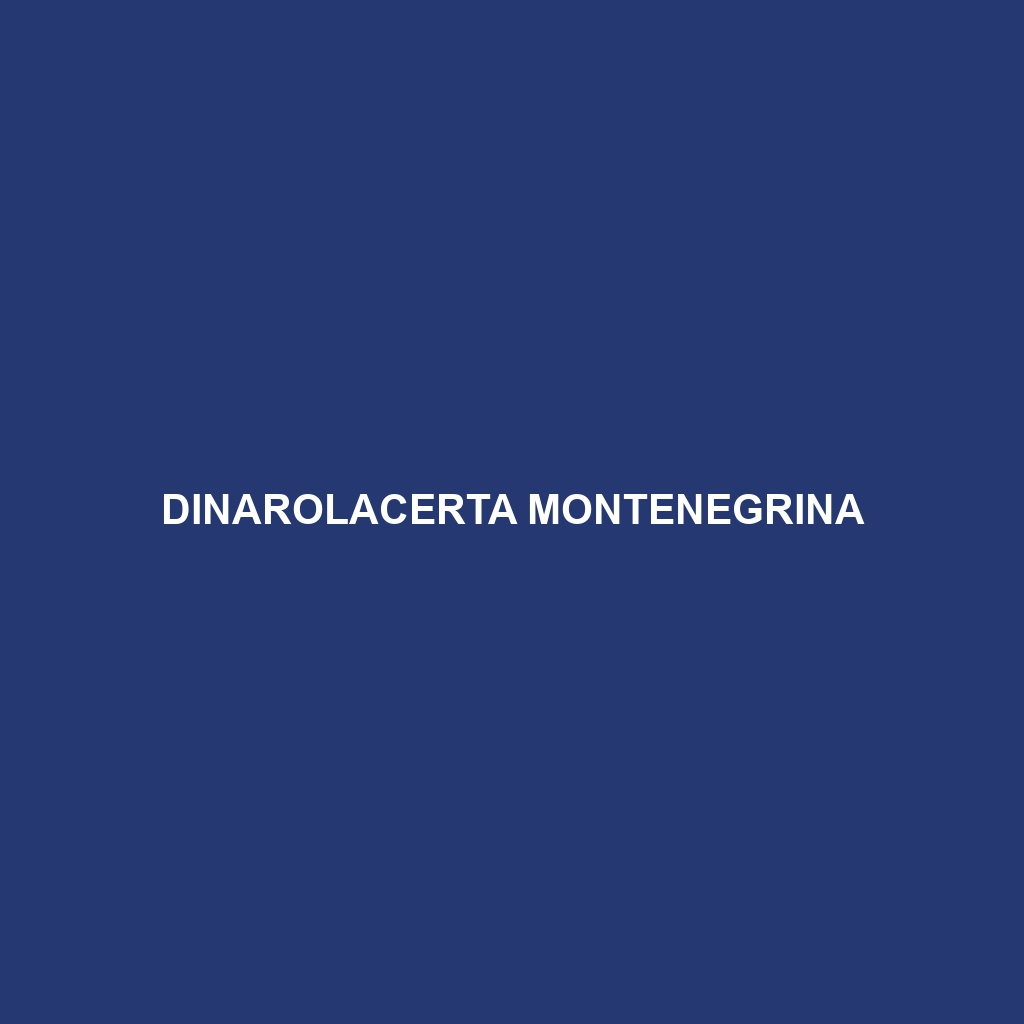 Dinarolacerta montenegrina