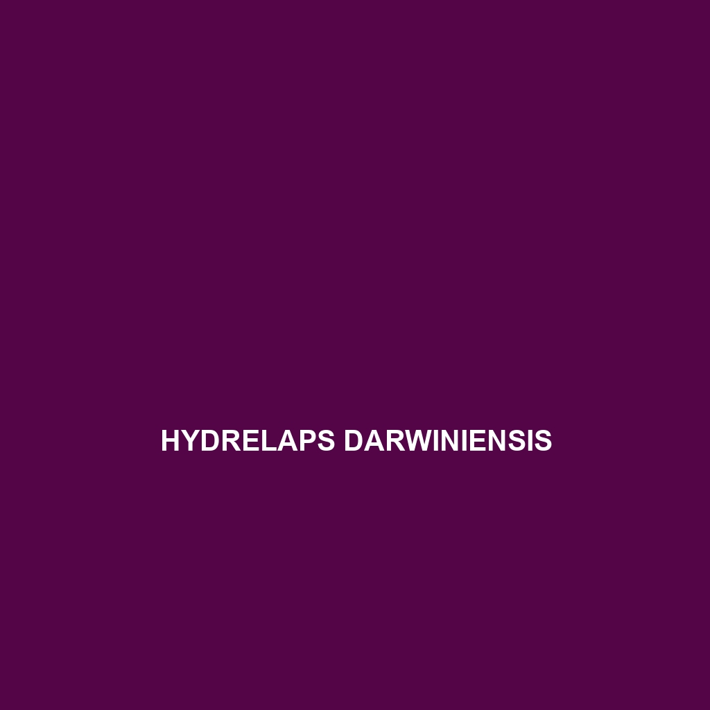 Hydrelaps darwiniensis