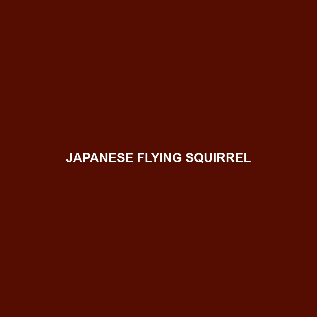 Japanese Flying Squirrel