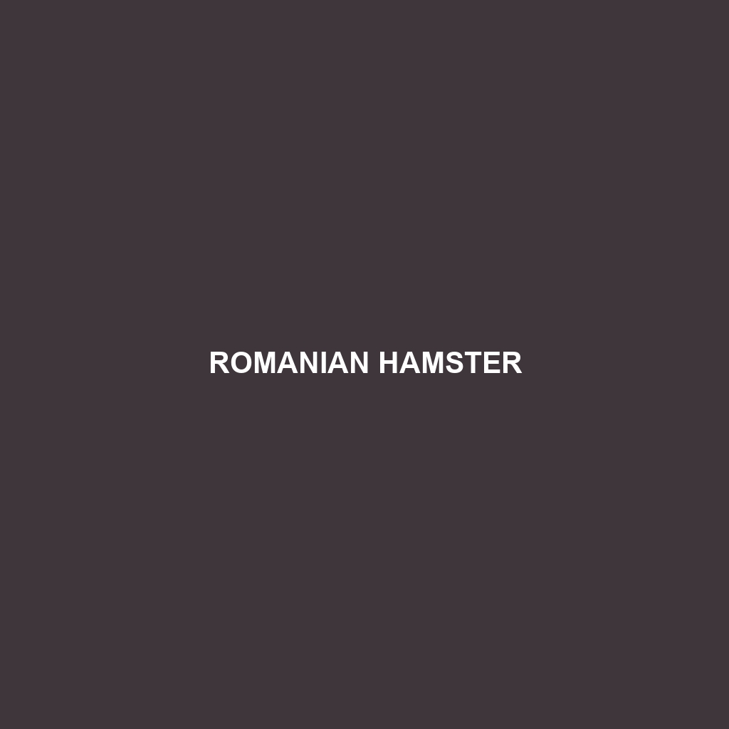 Romanian Hamster