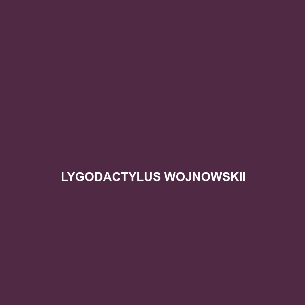 Lygodactylus winki