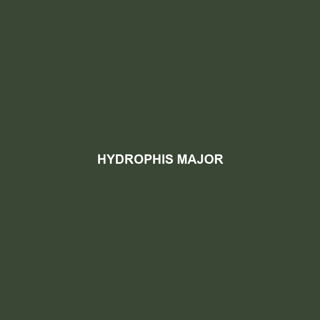 Hydrophis major