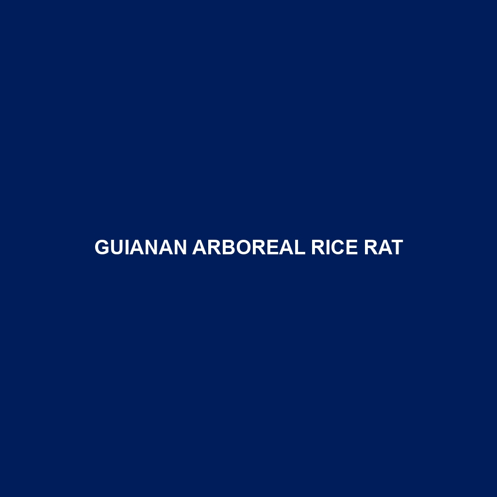 Guianan Arboreal Rice Rat