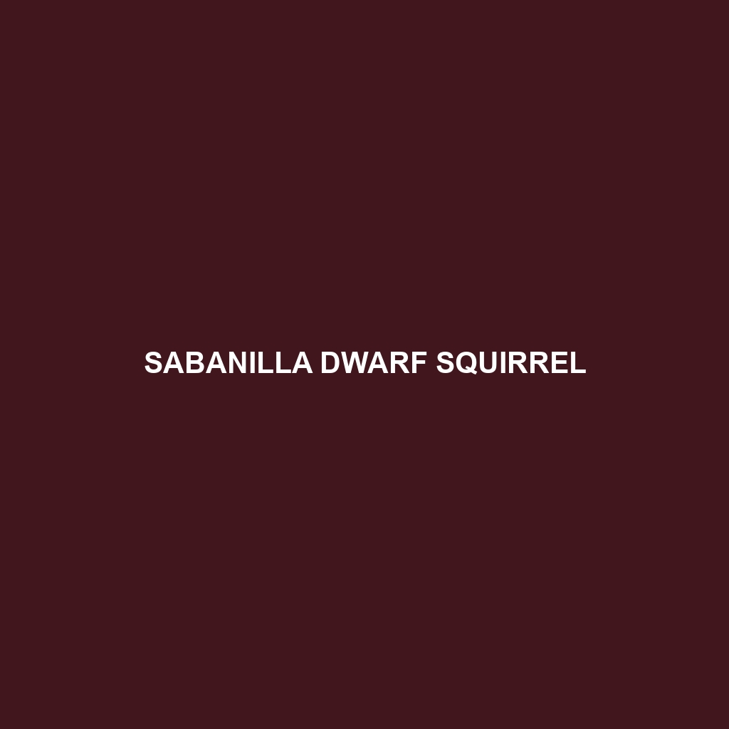 Sabanilla Dwarf Squirrel