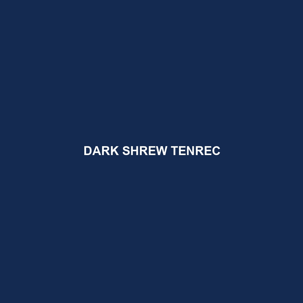 Dark Shrew Tenrec