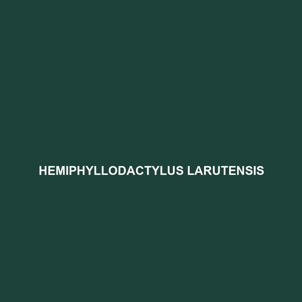 Hemiphyllodactylus larutensis