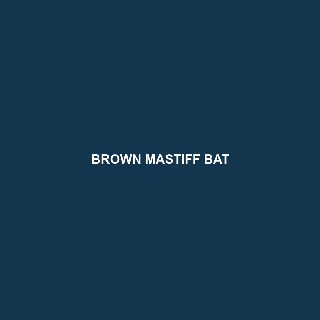 Brown Mastiff Bat