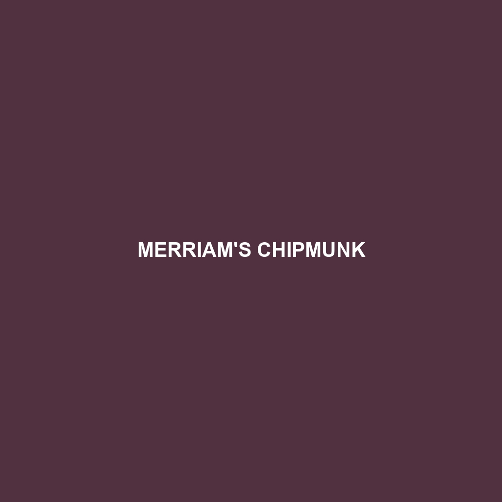 Merriam's Chipmunk