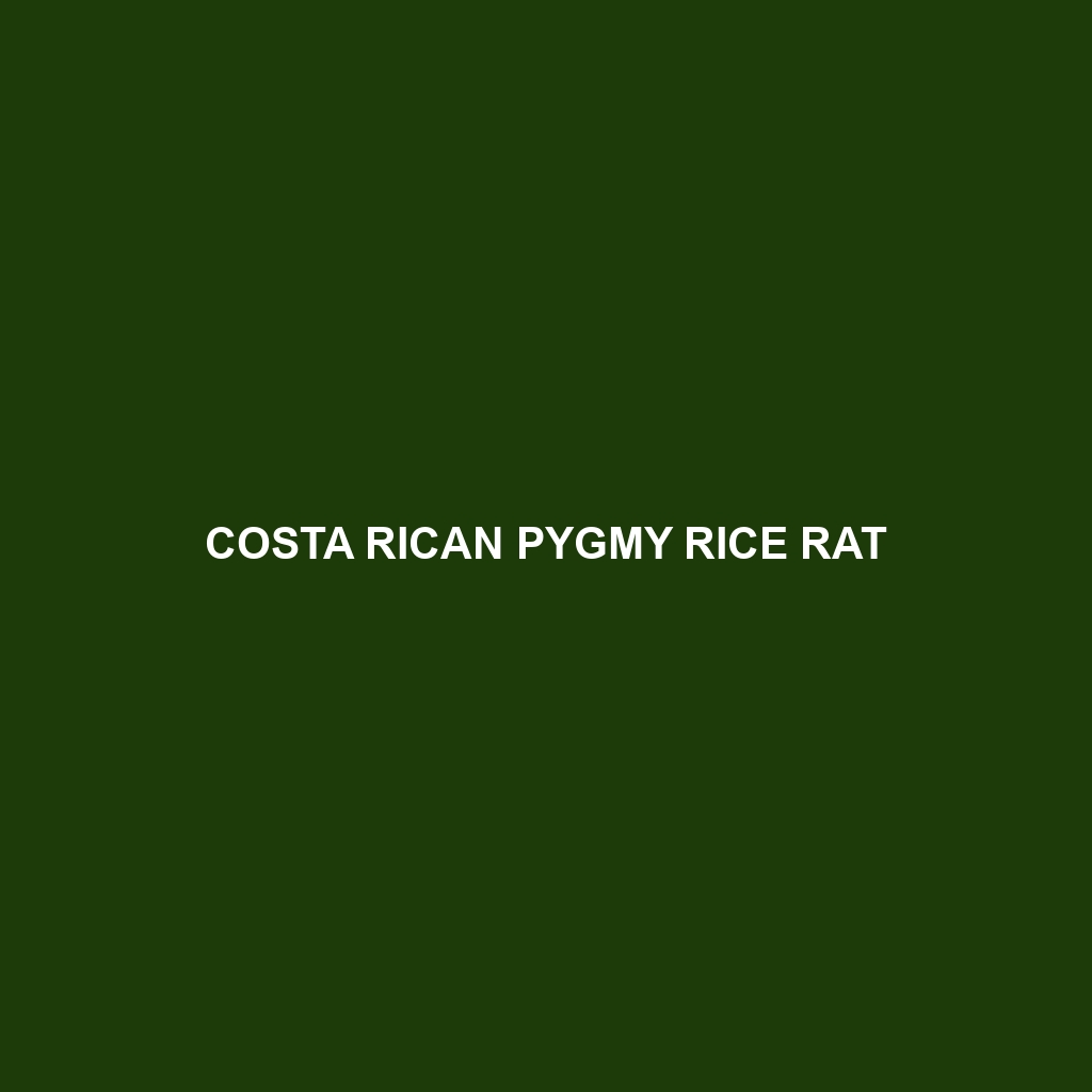 Costa Rican Pygmy Rice Rat