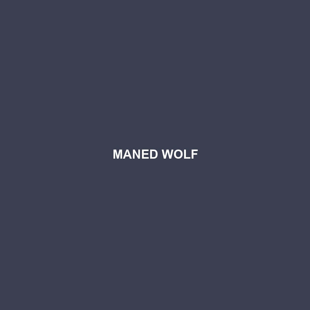 Maned Wolf