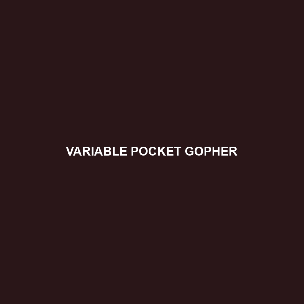 Variable Pocket Gopher