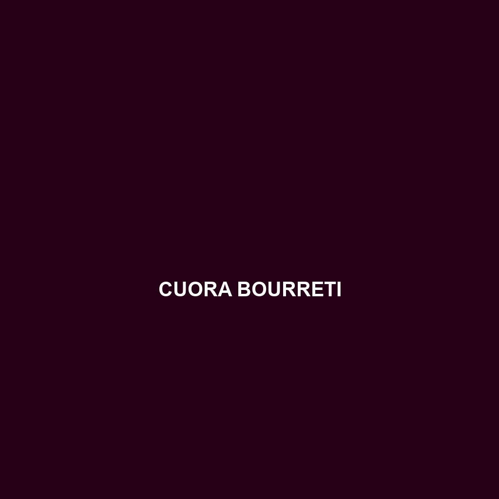 Cuora bourreti