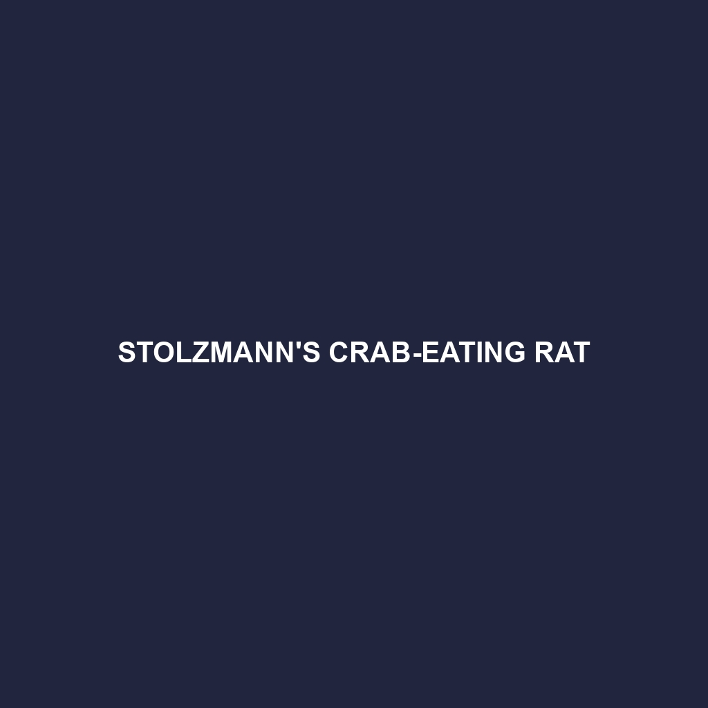 Stolzmann's Crab-eating Rat