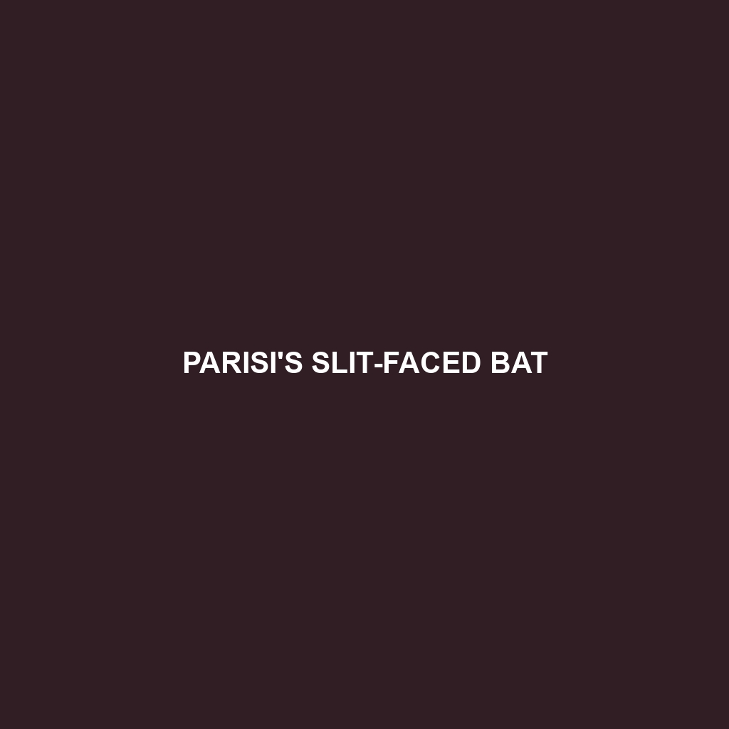 Parisi's Slit-faced Bat