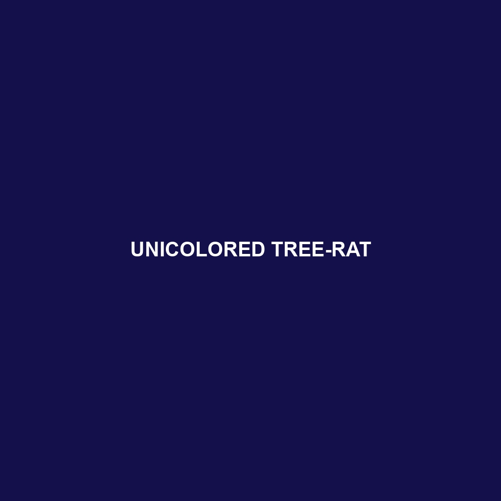 Unicolored Tree-rat