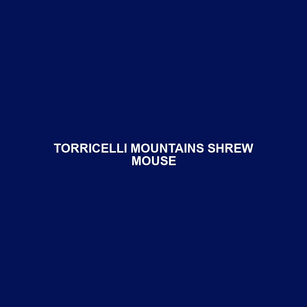 Torricelli Mountains Shrew Mouse