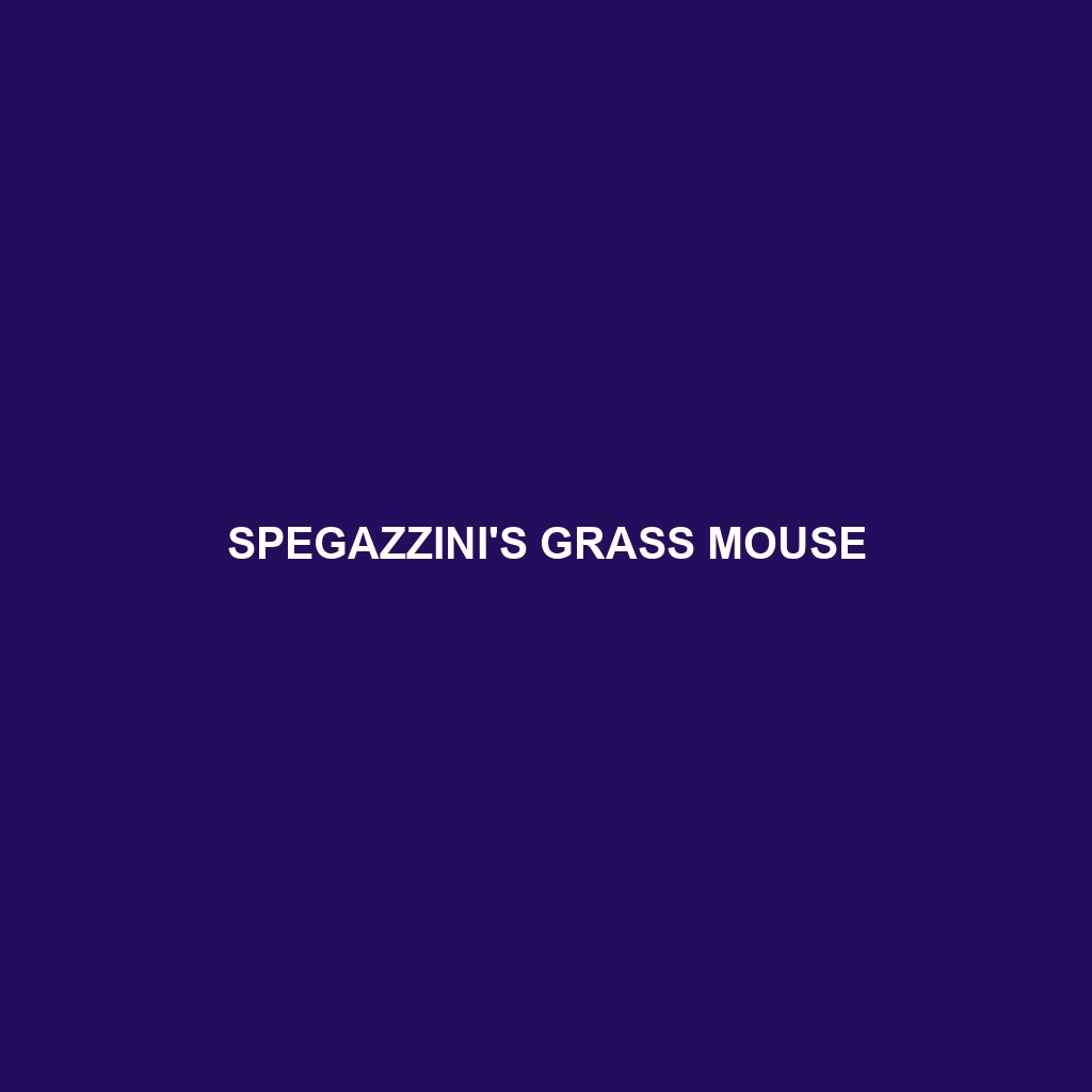 Spegazzini's Grass Mouse