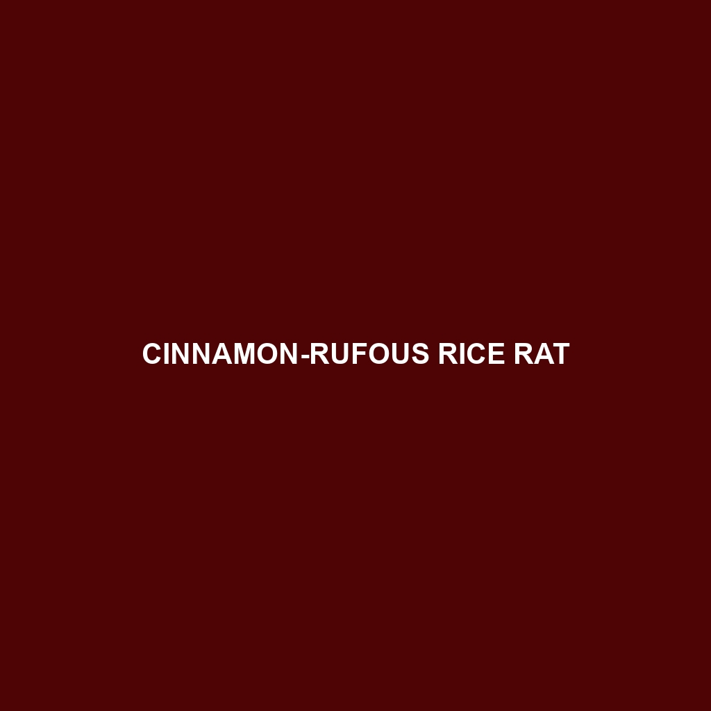 Cinnamon-rufous Rice Rat