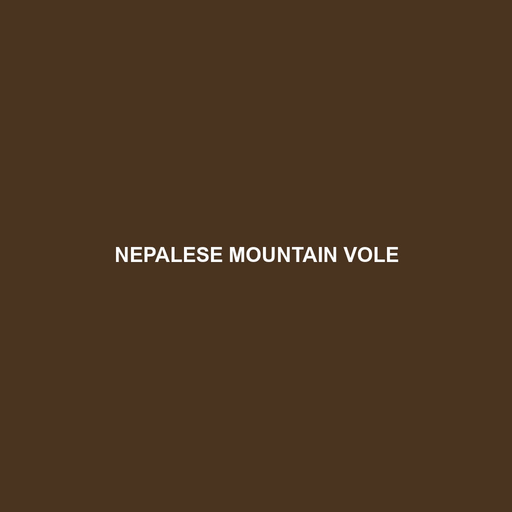 Nepalese Mountain Vole