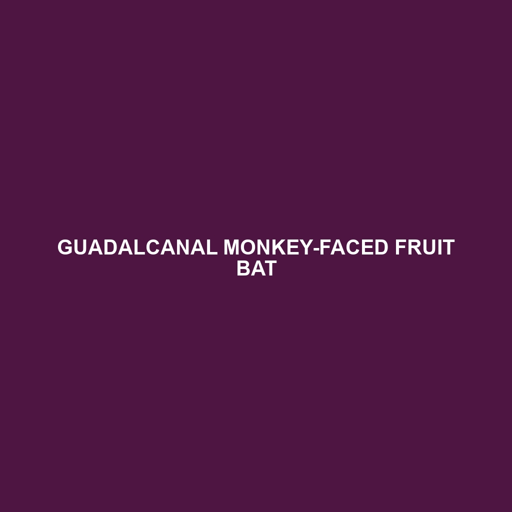 Guadalcanal Monkey-faced Fruit Bat