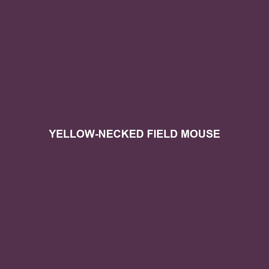 Yellow-necked Field Mouse