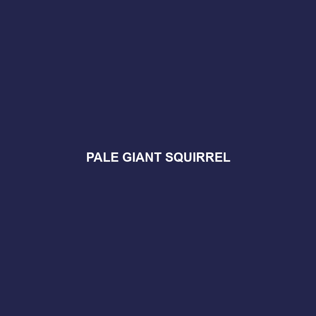 Pale Giant Squirrel