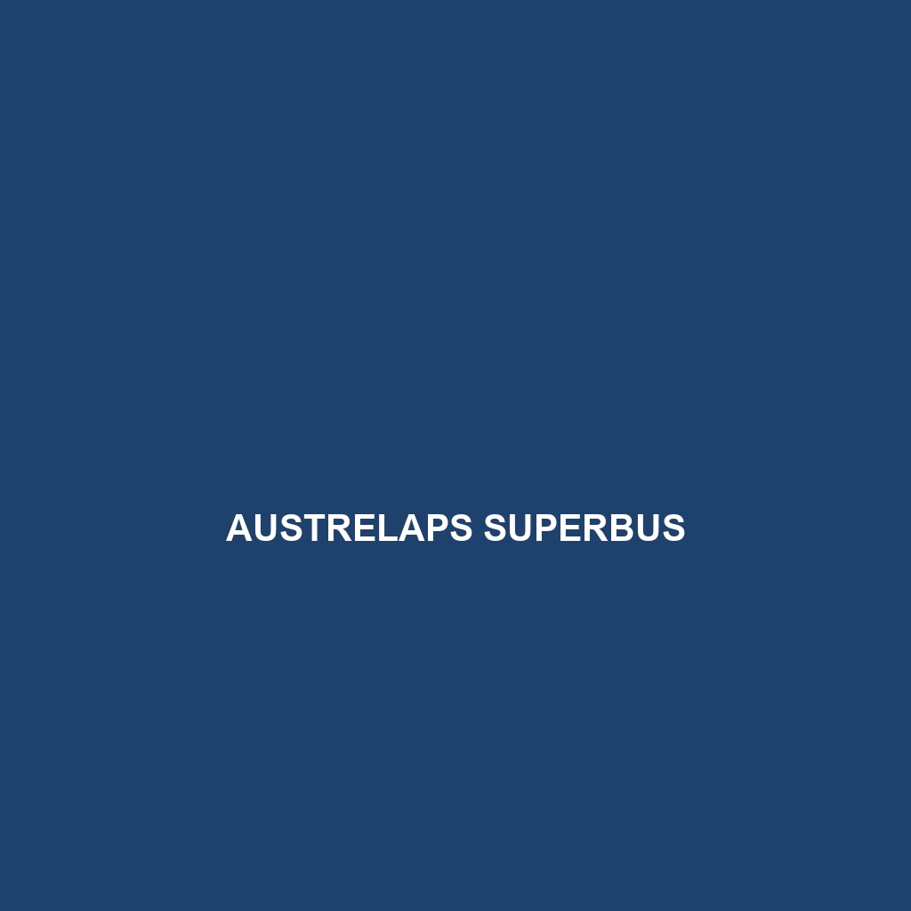 Austrelaps superbus