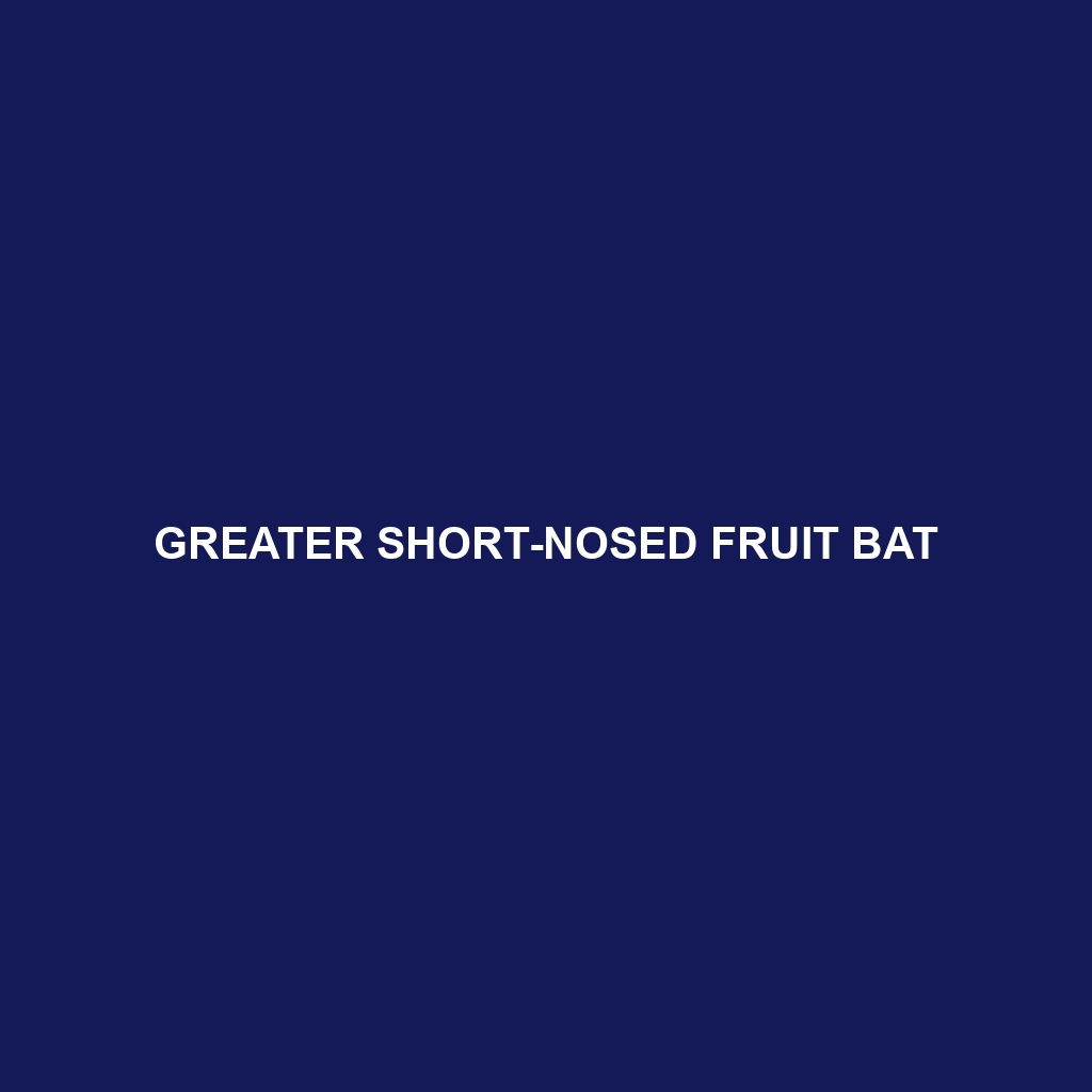 Greater Short-nosed Fruit Bat