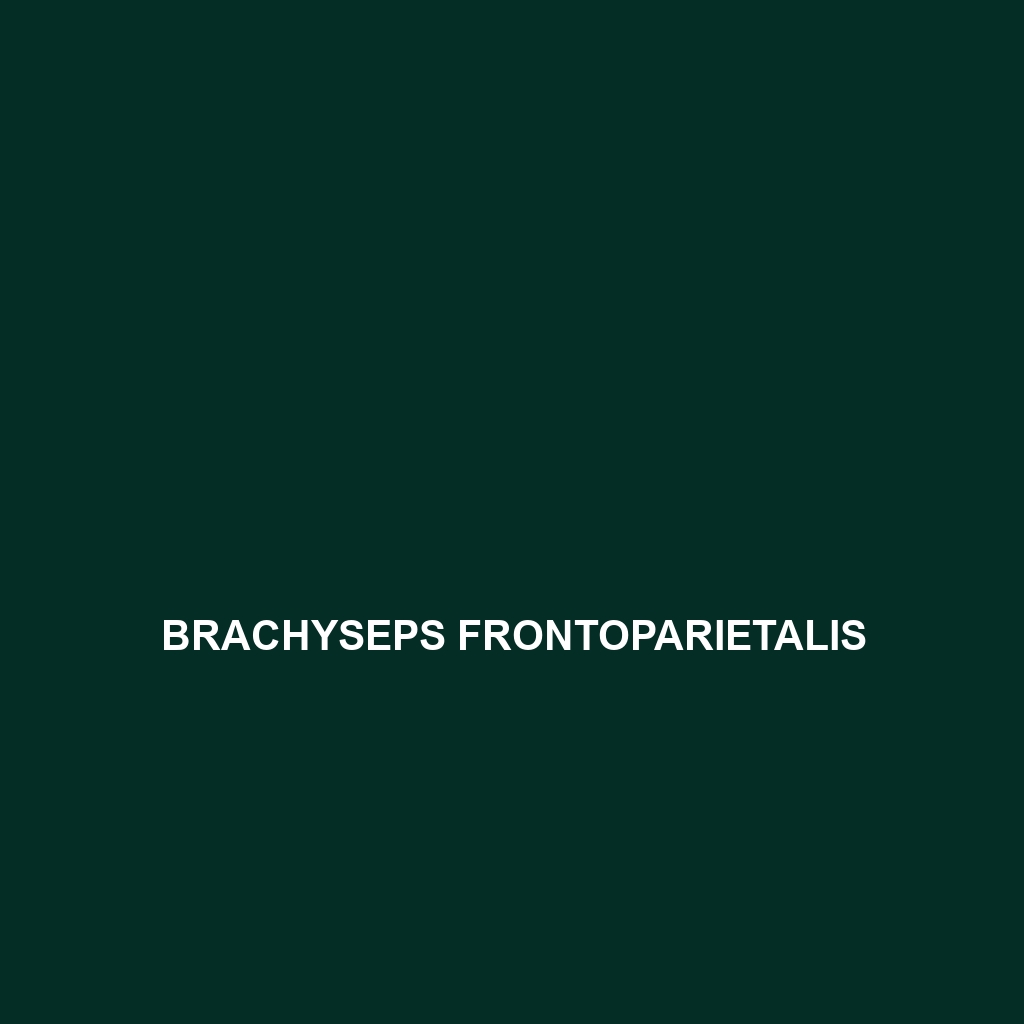 Brachyseps frontoparietalis