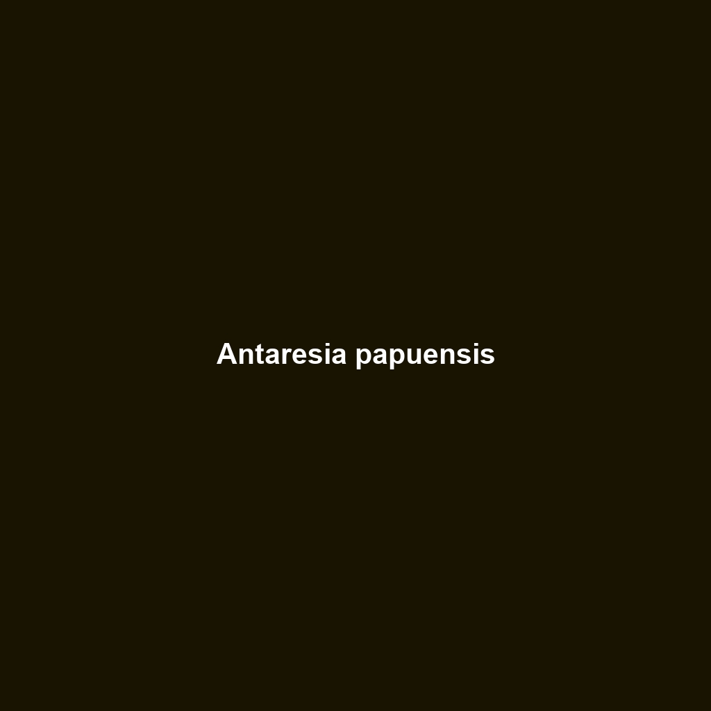 Antaresia perthensis