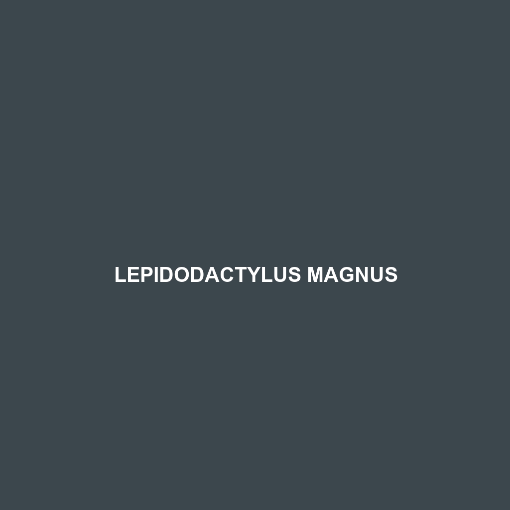 Lepidodactylus magnus