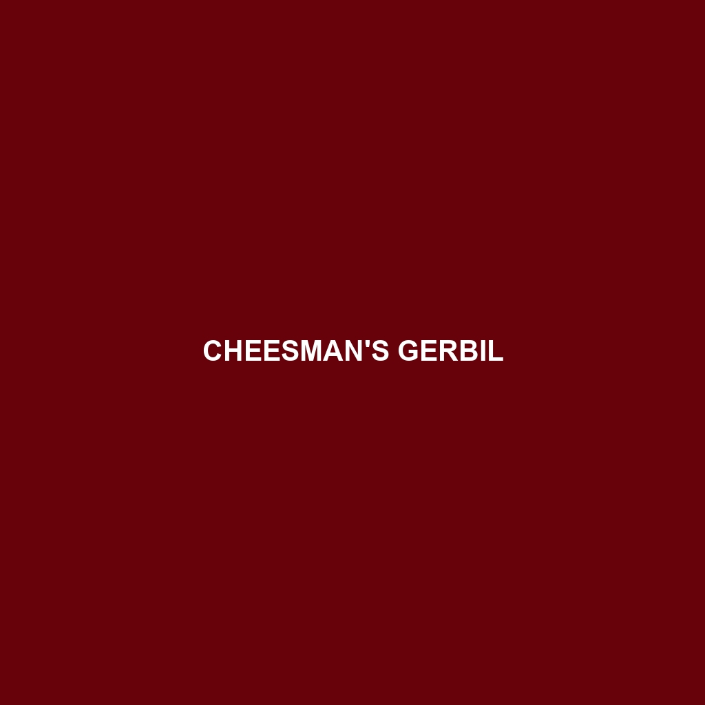 Cheesman's Gerbil