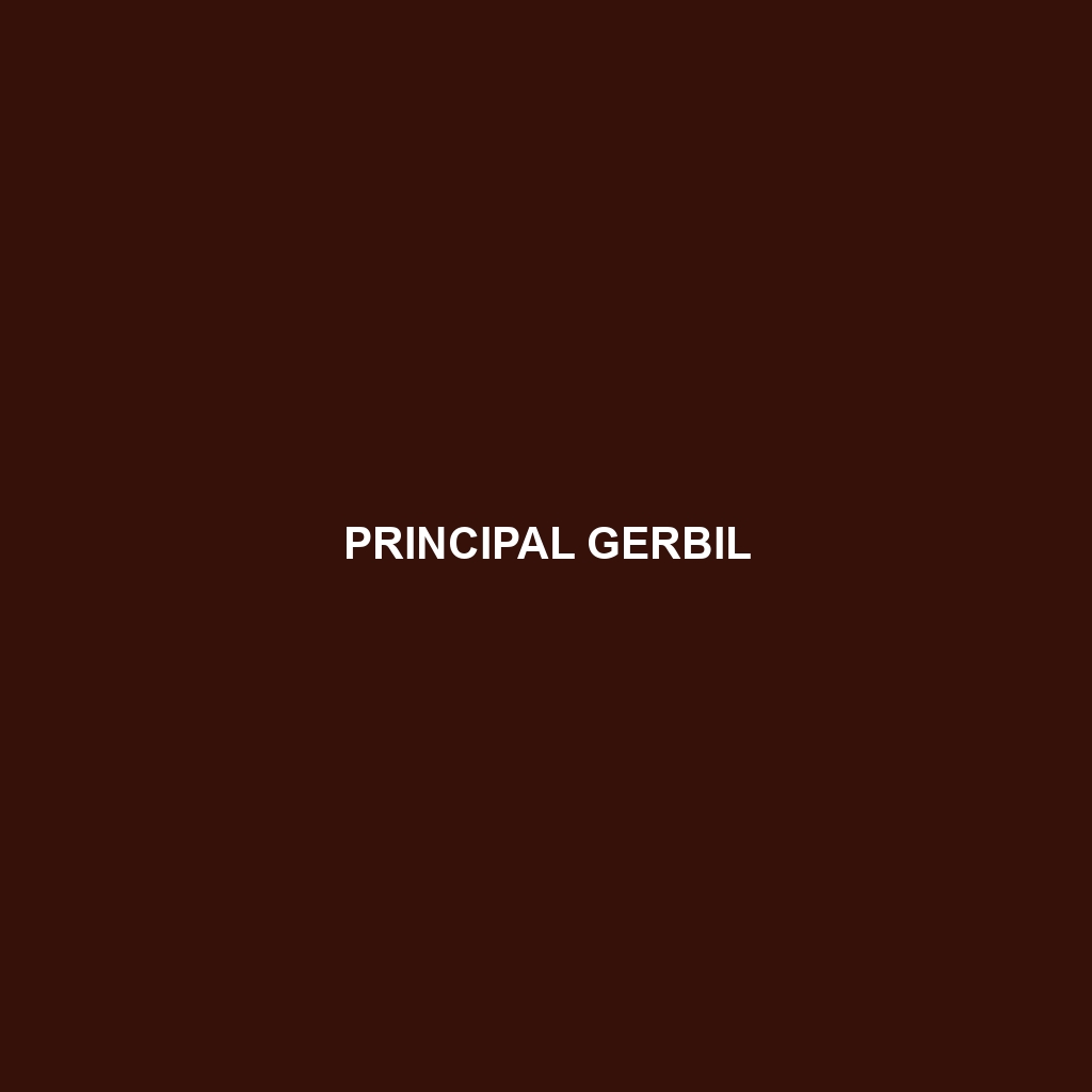 Principal Gerbil