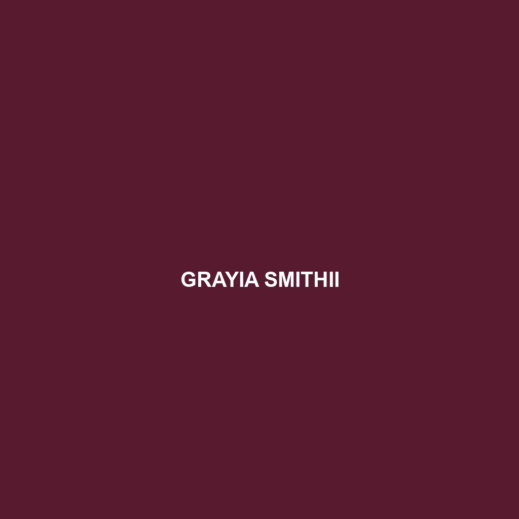 Grayia smithii