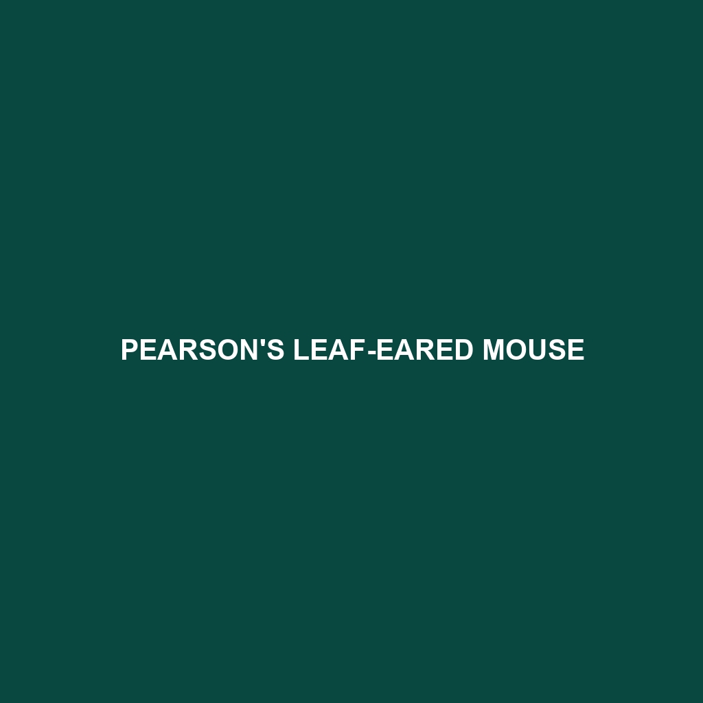 Pearson's Leaf-eared Mouse