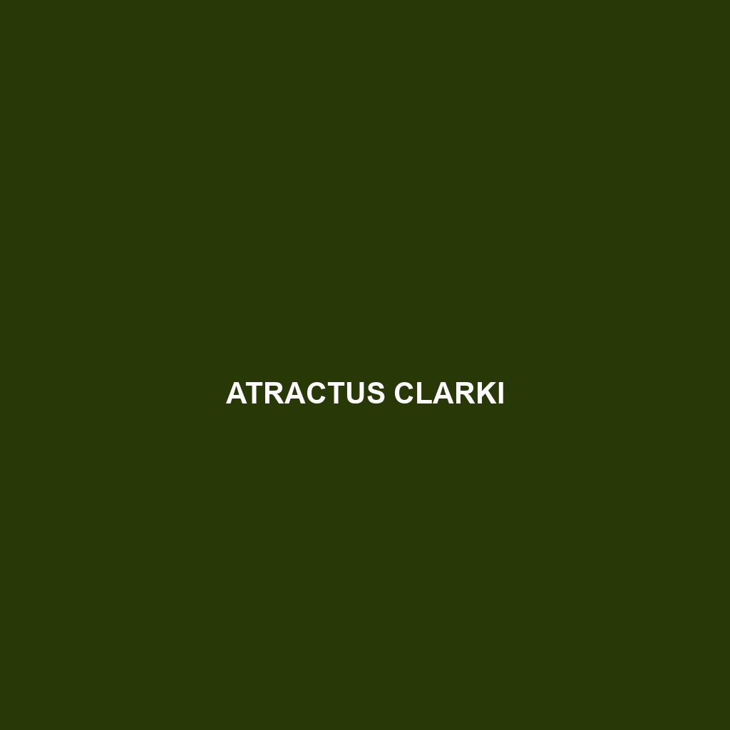 Atractus clarki