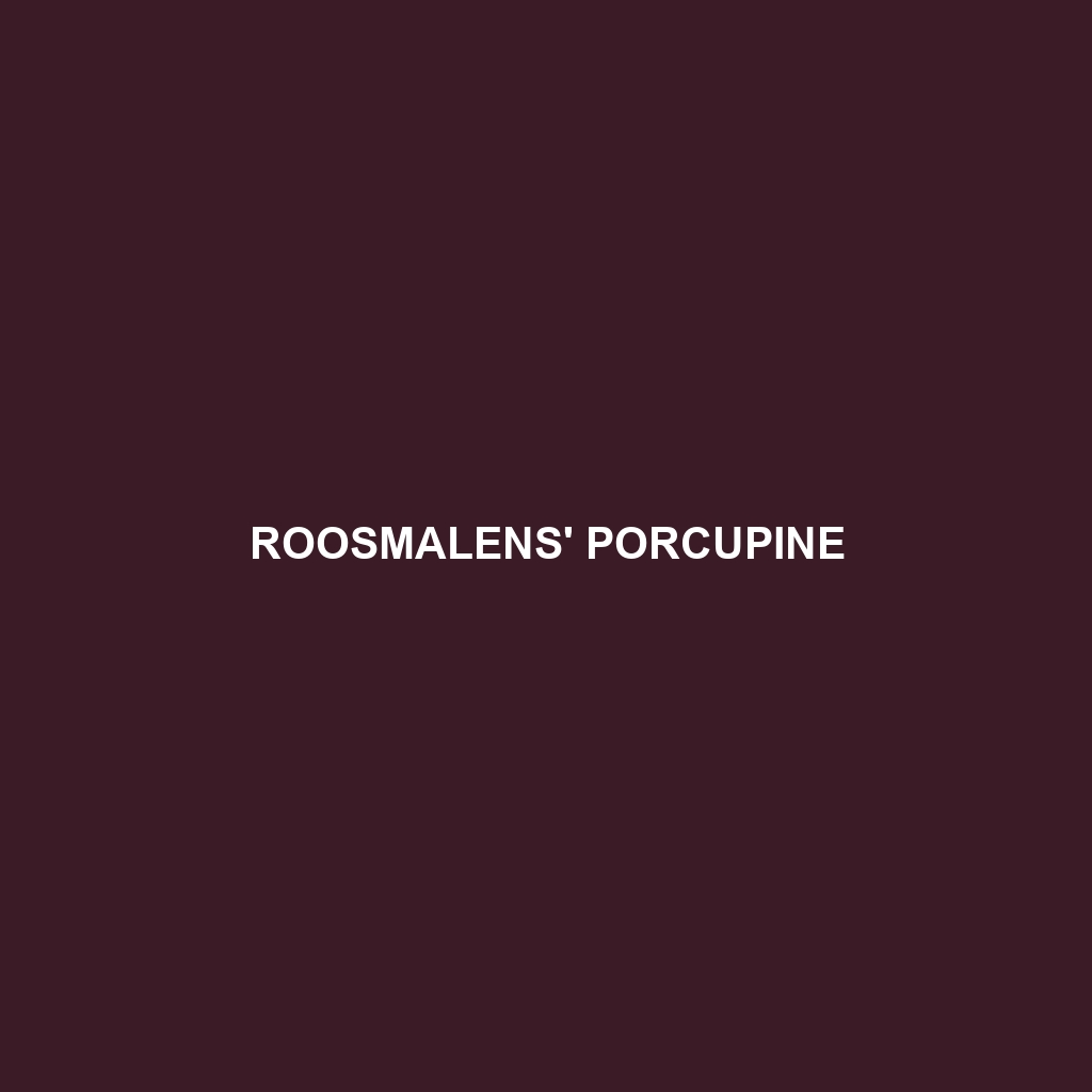 Roosmalens' Porcupine