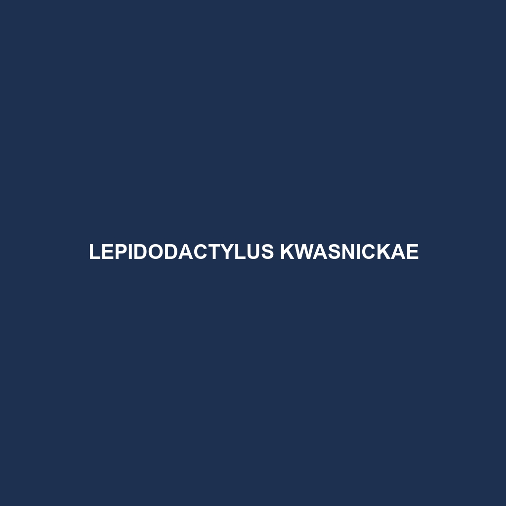 Lepidodactylus kwasnickae