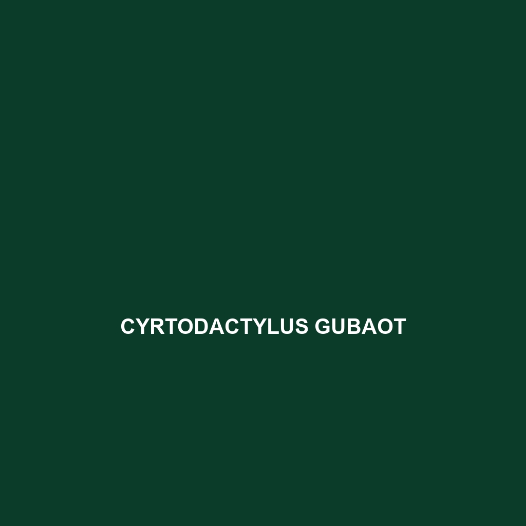 Cyrtodactylus gubaot