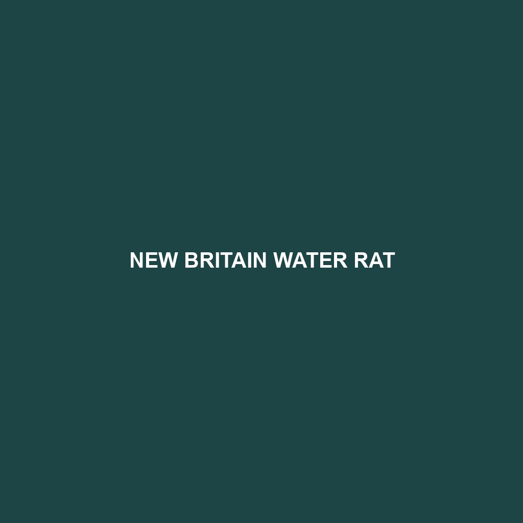 New Britain Water Rat