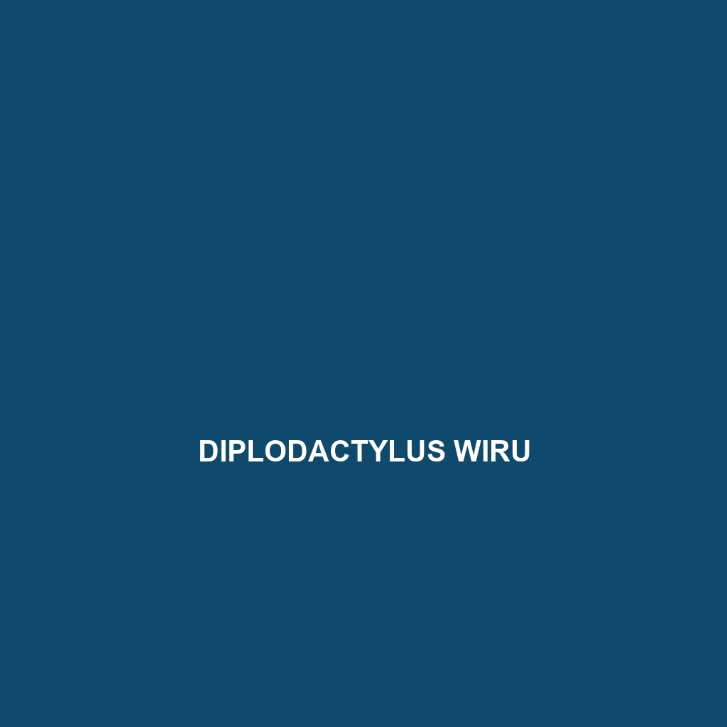 Diplodactylus wiru