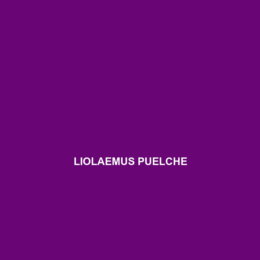 Liolaemus puelche