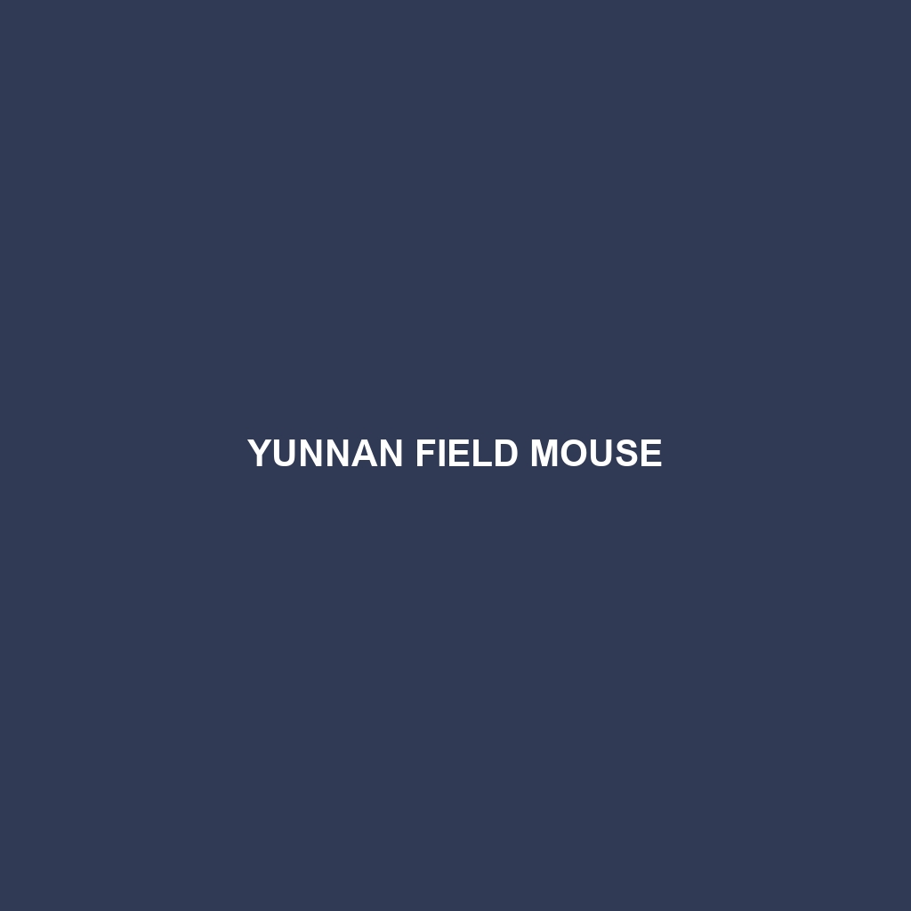 Yunnan Field Mouse