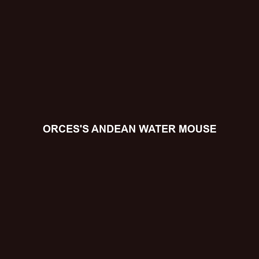 Orces's Andean Water Mouse