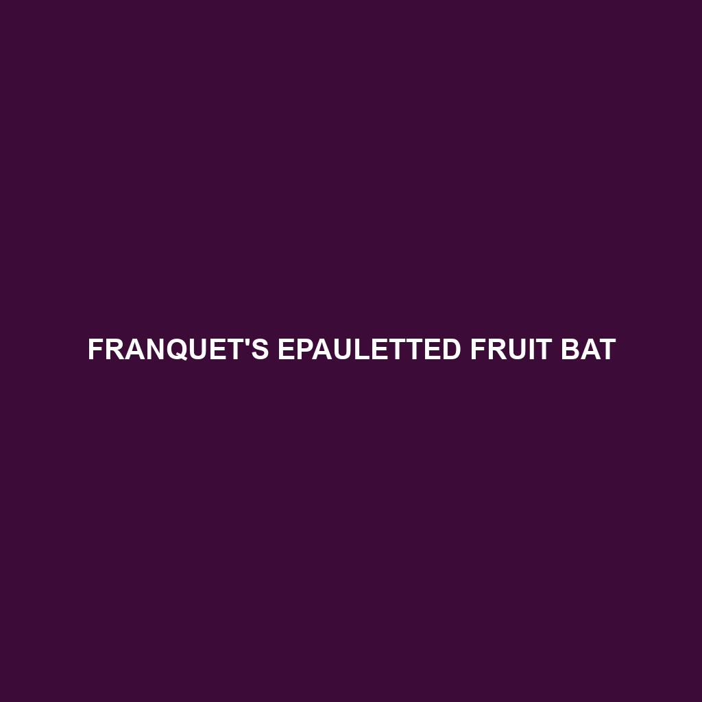 Franquet's Epauletted Fruit Bat