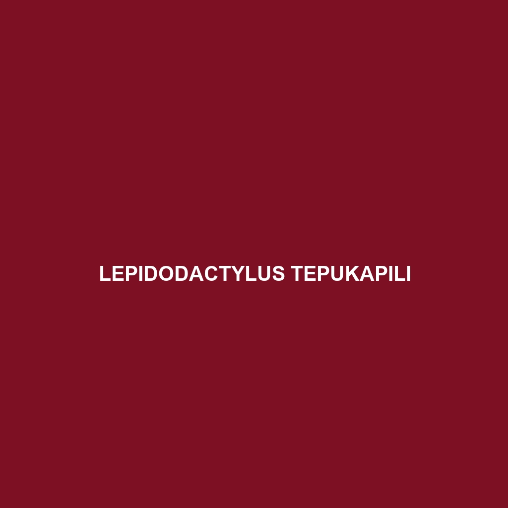 Lepidodactylus tepukapili