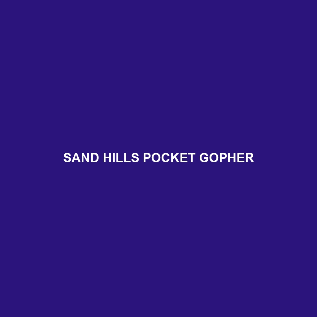 Sand Hills Pocket Gopher