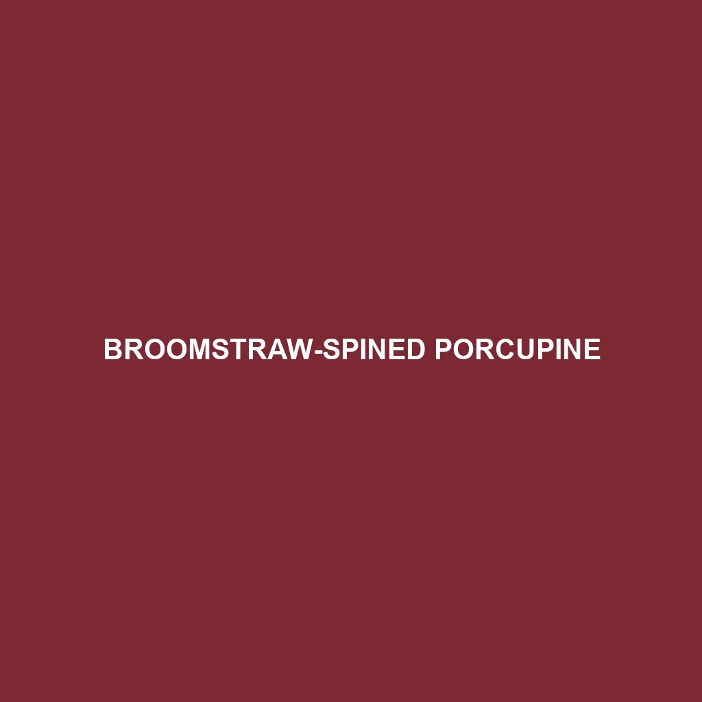 Broomstraw-spined Porcupine